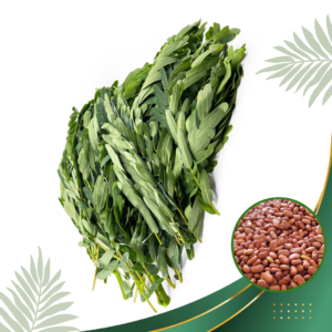 Agust Tree Leaf Seeds