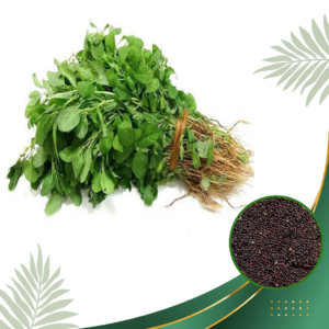 Amaranthus Seeds